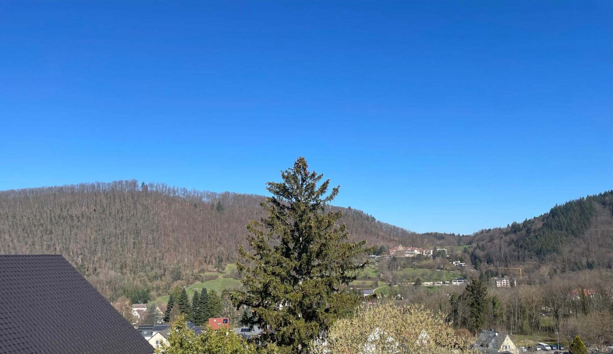 Hotel Markgraefler Hof Badenweiler Extérieur photo